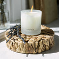 Vanilla Soy Candle